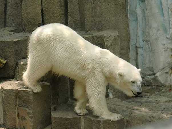 ���F����